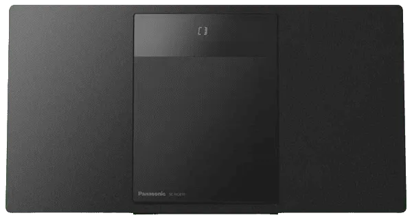 Panasonic
